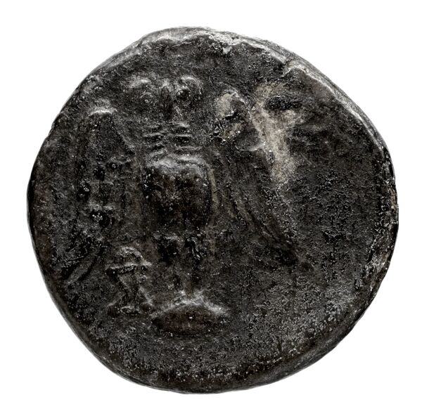 Amisus Waddington 1925 11, реверс, bnf-iris