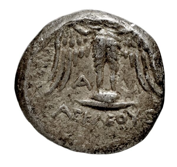 Amisus Waddington 1925 11a, реверс, bnf-iris