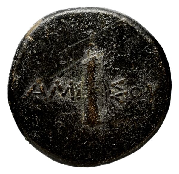 Amisus Waddington 1925 13, реверс, bnf-iris