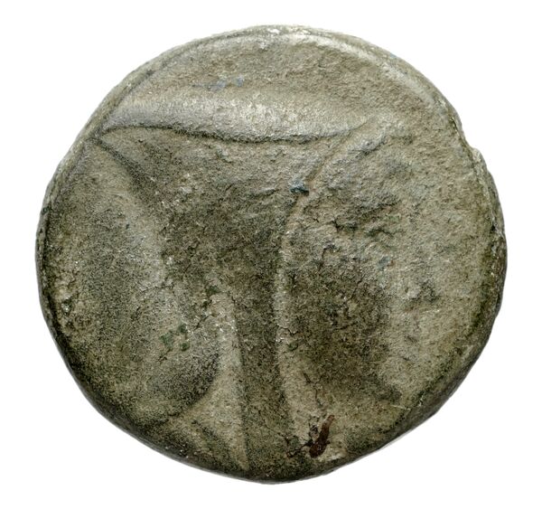 Amisus Waddington 1925 13, аверс, bnf-iris
