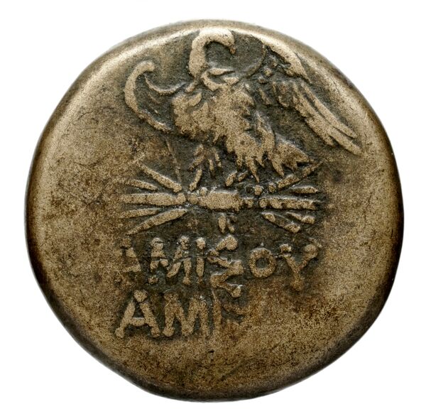 Amisus Waddington 1925 14, реверс, bnf-iris
