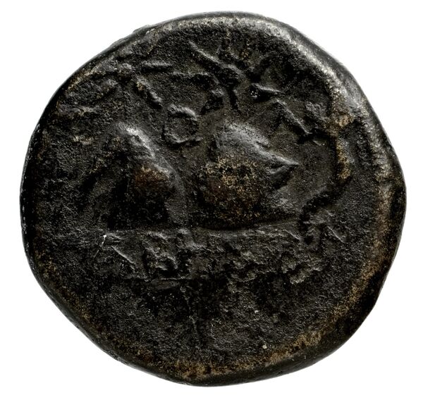 Tabae Robert 1954 W, реверс, bnf-iris