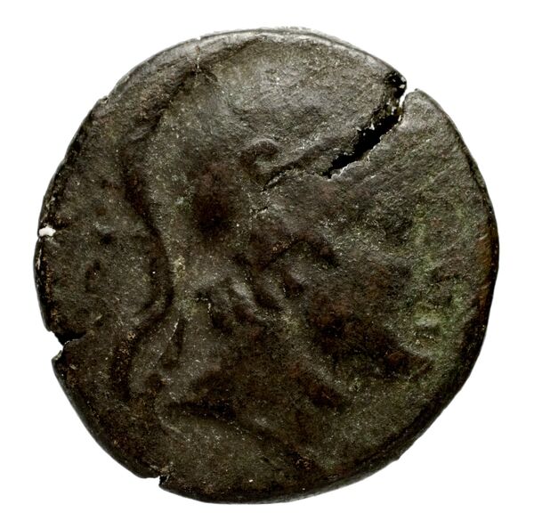 Anactorium Calciati 1990 43-73, аверс, bnf-iris
