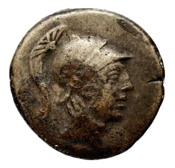 Anactorium Calciati 1990 43-73, аверс, bnf-iris
