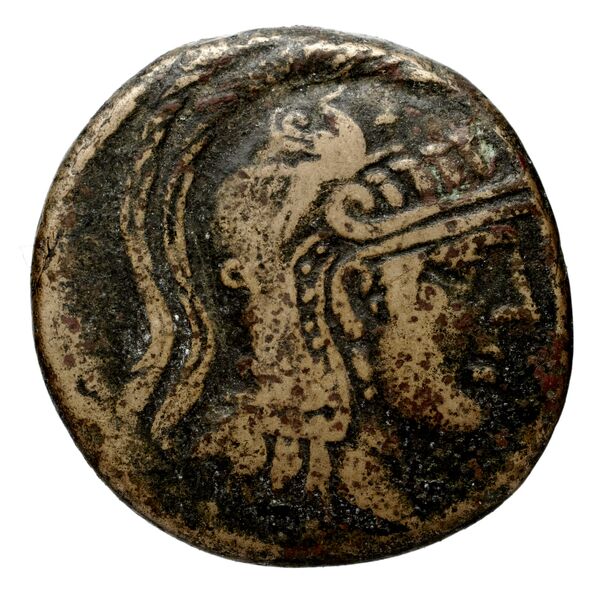 Anactorium Calciati 1990 43-73, аверс, bnf-iris