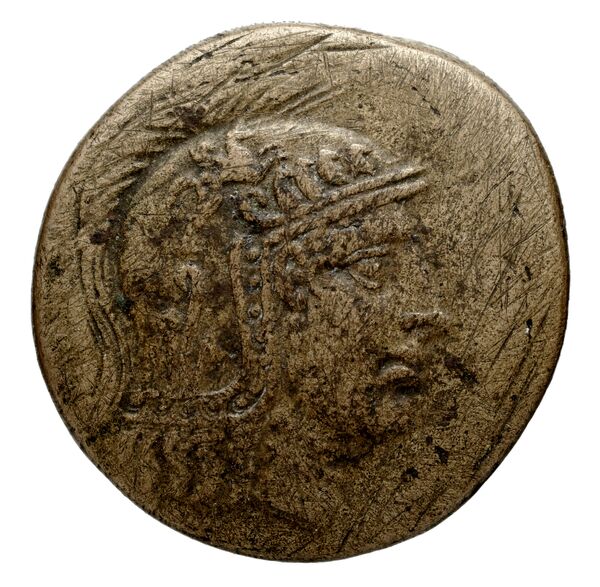Anactorium Calciati 1990 43-73, аверс, bnf-iris