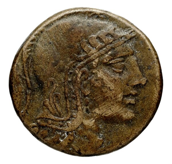 Anactorium Calciati 1990 43-73, аверс, bnf-iris