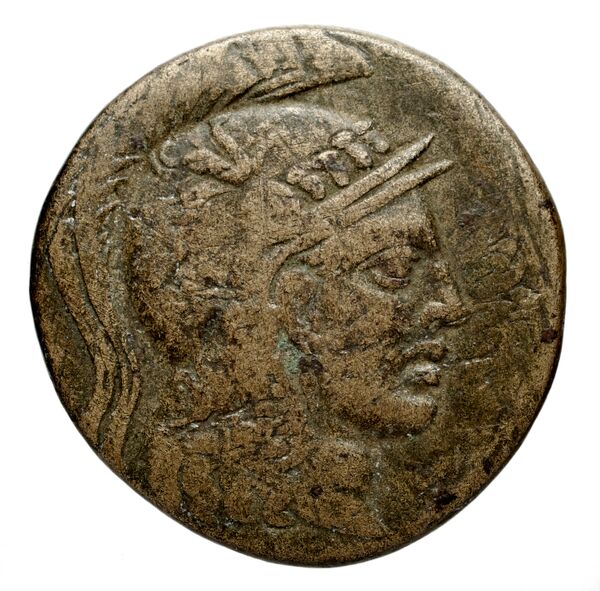Anactorium Calciati 1990 43-73, аверс, bnf-iris