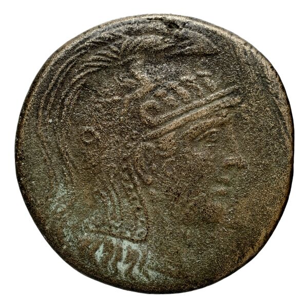 Anactorium Calciati 1990 43-73, аверс, bnf-iris