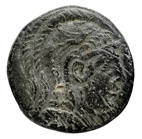 Anactorium Calciati 1990 43-73, аверс, bnf-iris