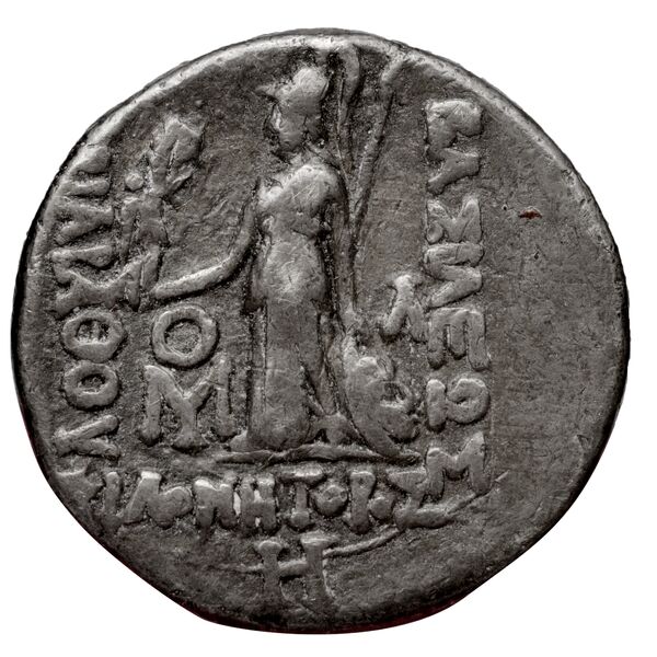 Aspendus BMC Aspendus 74, реверс, bnf-iris