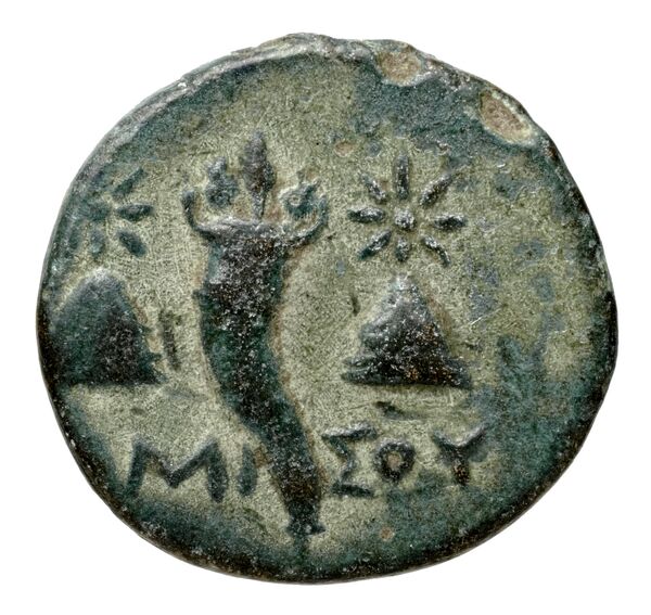 Amisus Waddington 1925 36, реверс, bnf-iris