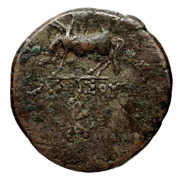 Amisus Waddington 1925 32, реверс, bnf-iris