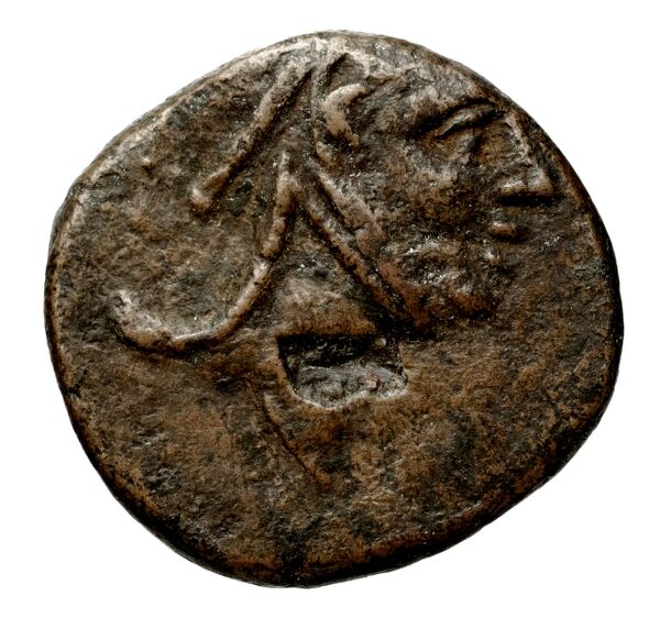 Anactorium Calciati 1990 2-42, аверс, bnf-iris