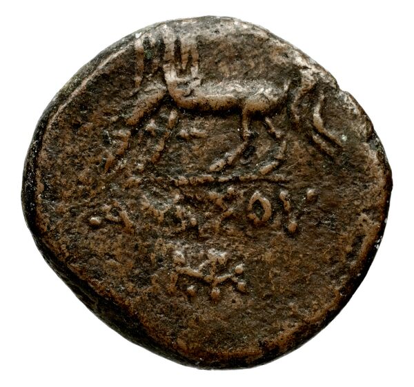 Anactorium Calciati 1990 2-42, реверс, bnf-iris