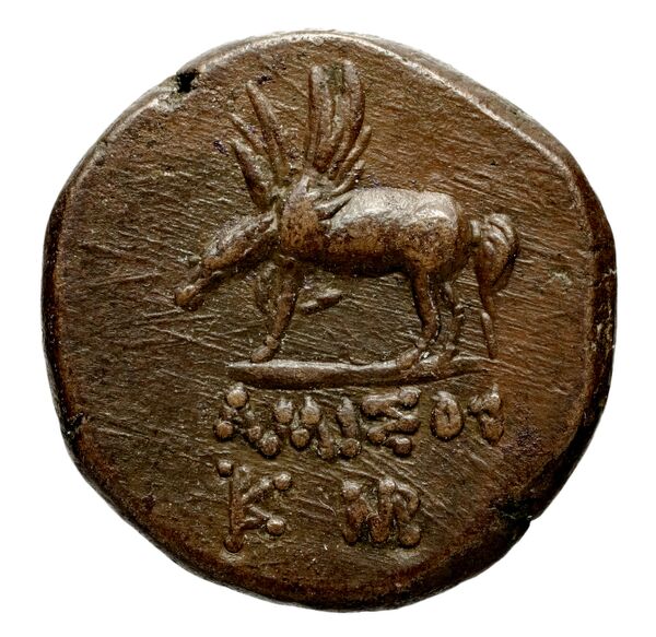 Anactorium Calciati 1990 2-42, реверс, bnf-iris