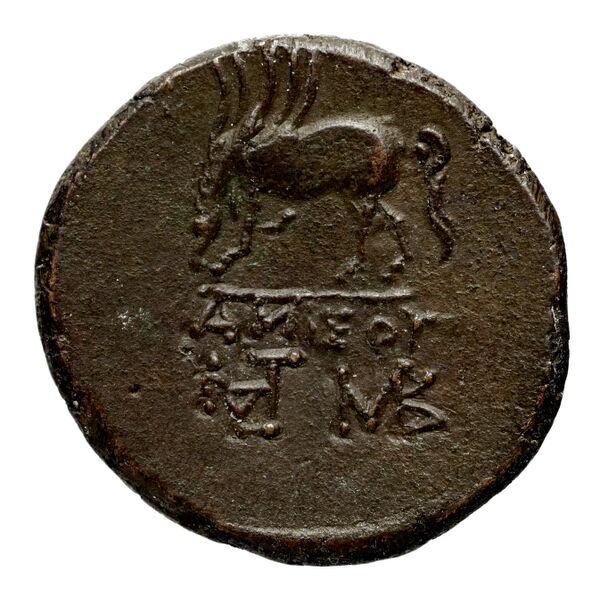 Anactorium Calciati 1990 2-42, реверс, bnf-iris