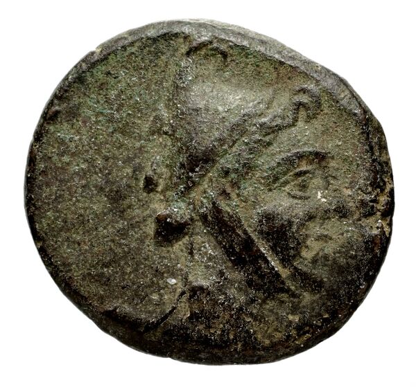 Anactorium Calciati 1990 2-42, аверс, bnf-iris