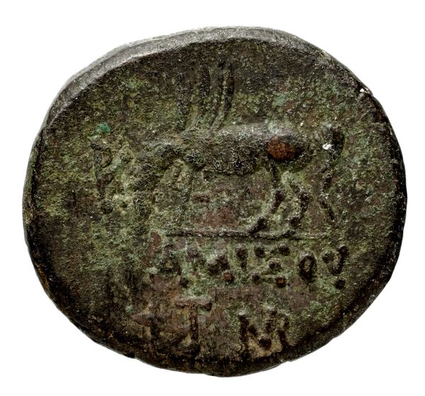 Anactorium Calciati 1990 2-42, реверс, bnf-iris