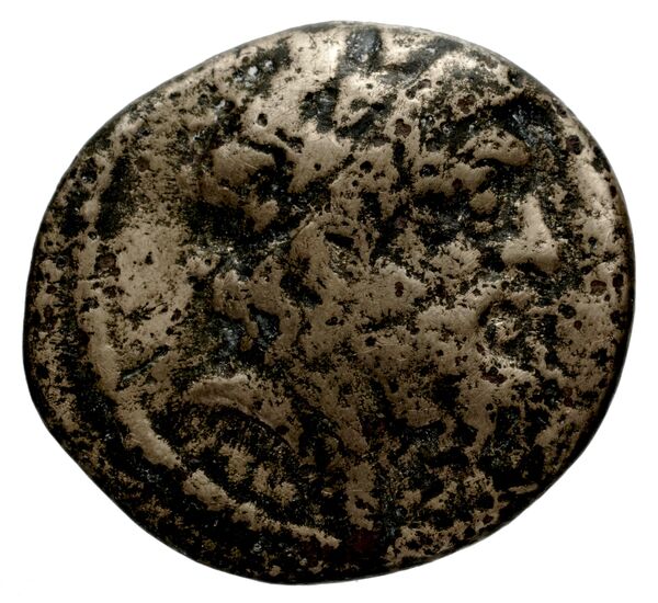аверс Laodicea ad Mare BMC Laodiceia ad Mare 10-11