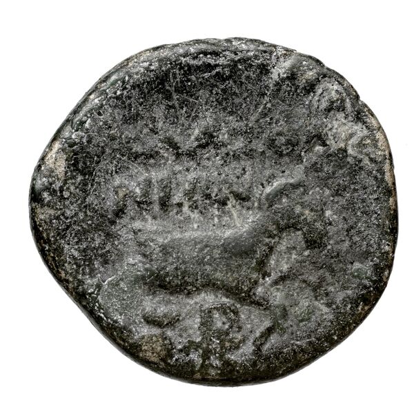 Aspendus BMC Aspendus 74, реверс, bnf-iris