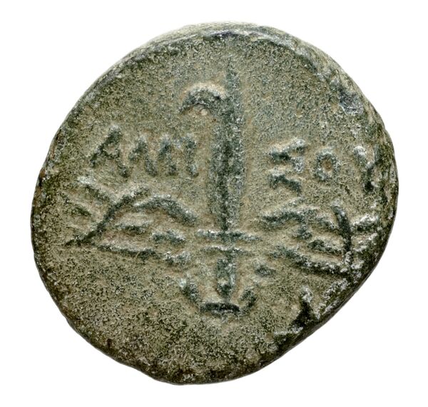 Amisus Waddington 1925 35, реверс, bnf-iris