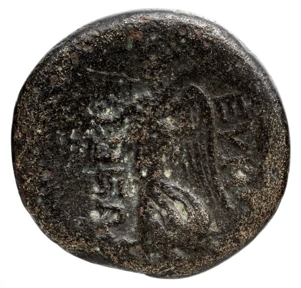 Leucas Calciati 1990 17-152, реверс, bnf-iris