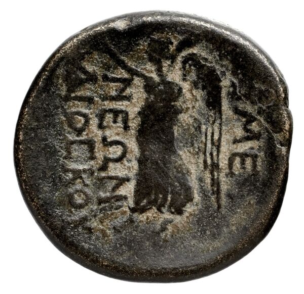 Amisus Waddington 1925 38, реверс, bnf-iris