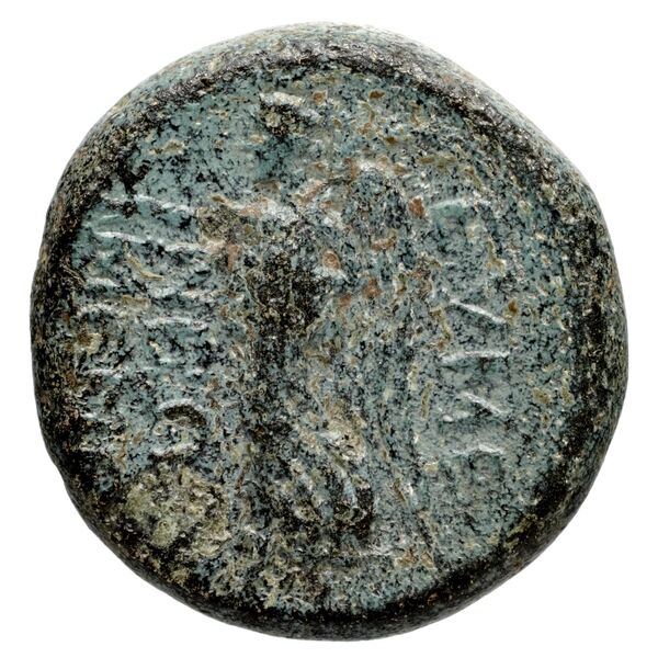 Amisus Waddington 1925 38, реверс, bnf-iris