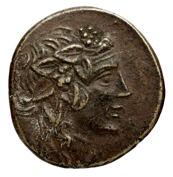 Selinus SNG ANS 711-712, аверс, bnf-iris
