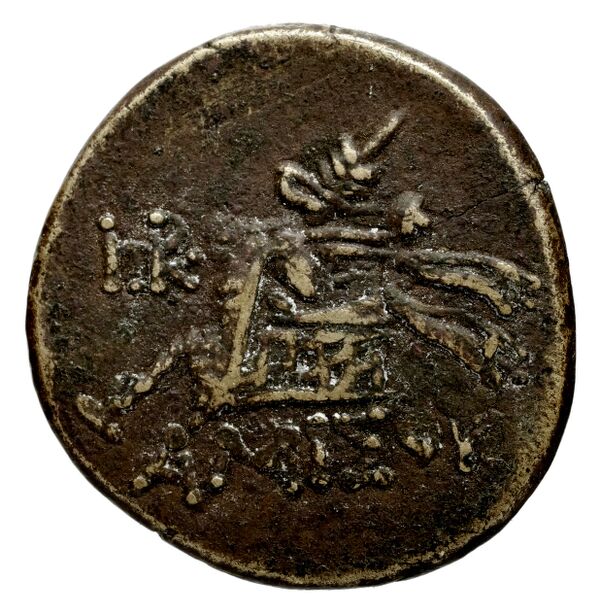 Selinus SNG ANS 711-712, реверс, bnf-iris