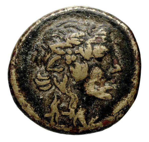 Selinus SNG ANS 711-712, аверс, bnf-iris