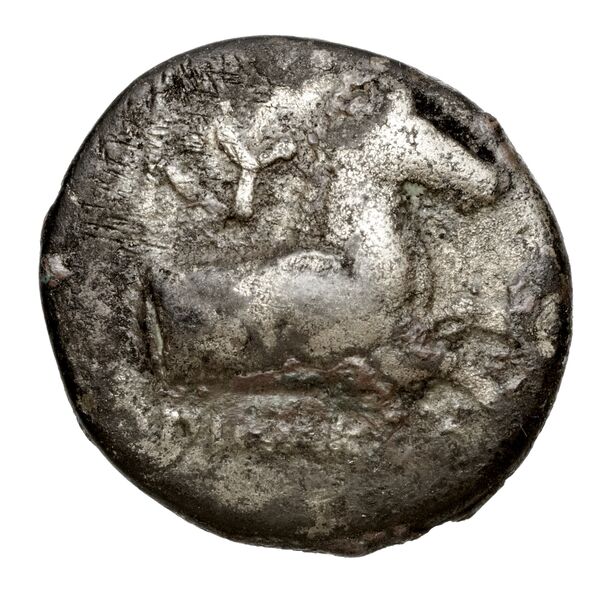 Aspendus BMC Aspendus 76-7, аверс, bnf-iris