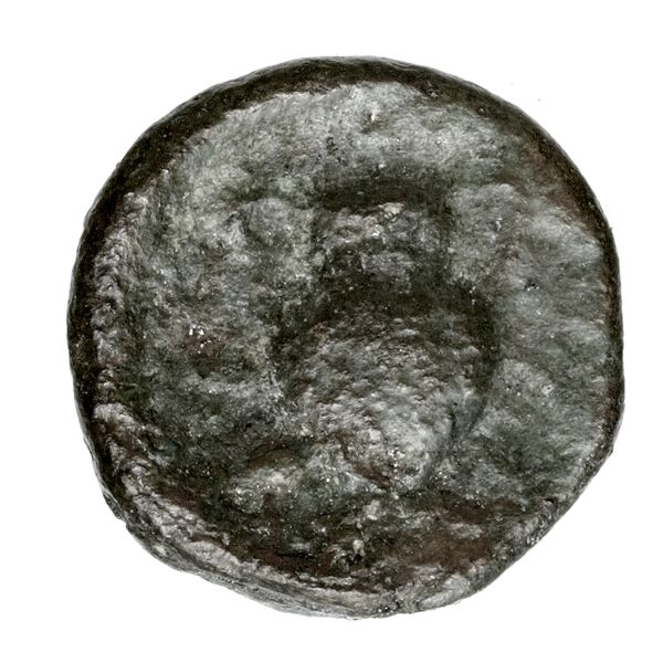 Aspendus BMC Aspendus 76-7, реверс, bnf-iris