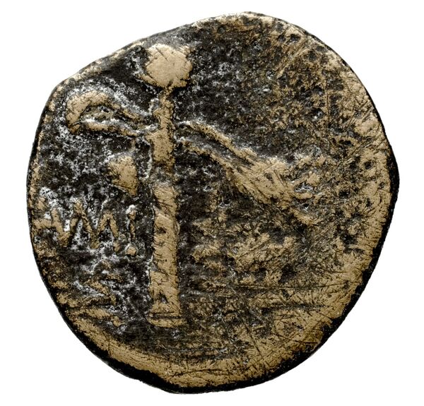 Amisus Waddington 1925 25, реверс, bnf-iris