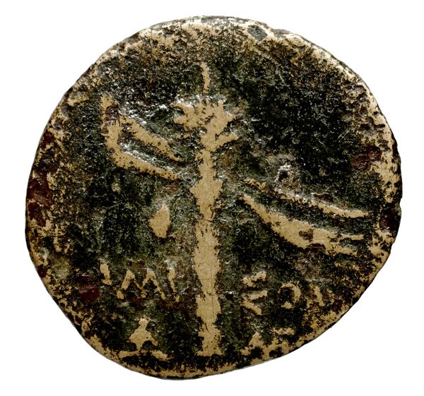 Amisus Waddington 1925 25, реверс, bnf-iris