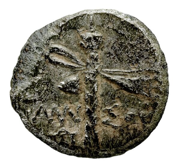 Amisus Waddington 1925 25, реверс, bnf-iris