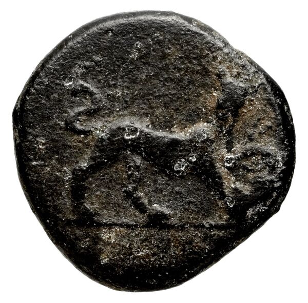 Amisus Waddington 1925 27, реверс, bnf-iris