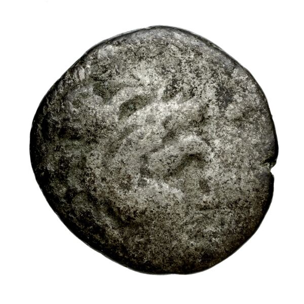 Metapontum Historia Numorum Italy 1524, аверс, bnf-iris