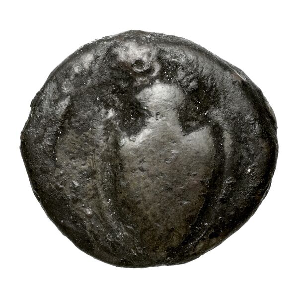 аверс Chersonesus, Tauric Anokhin 2011 757-8