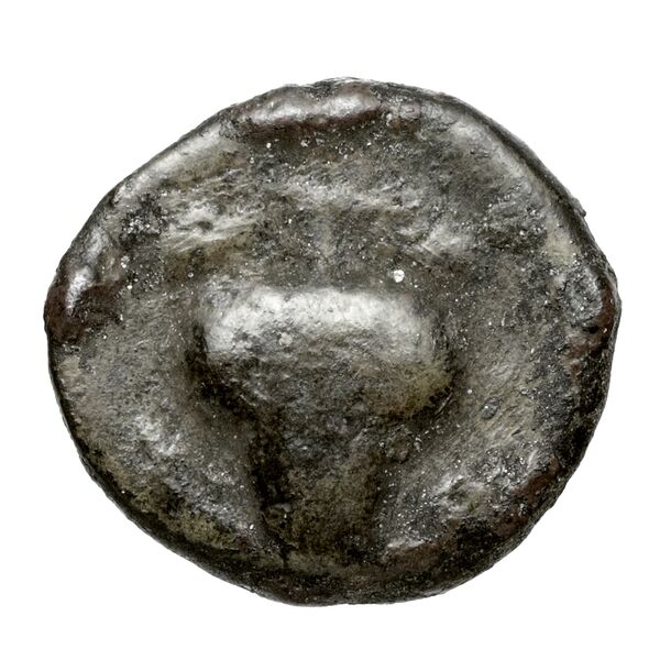 реверс Chersonesus, Tauric Anokhin 2011 757-8