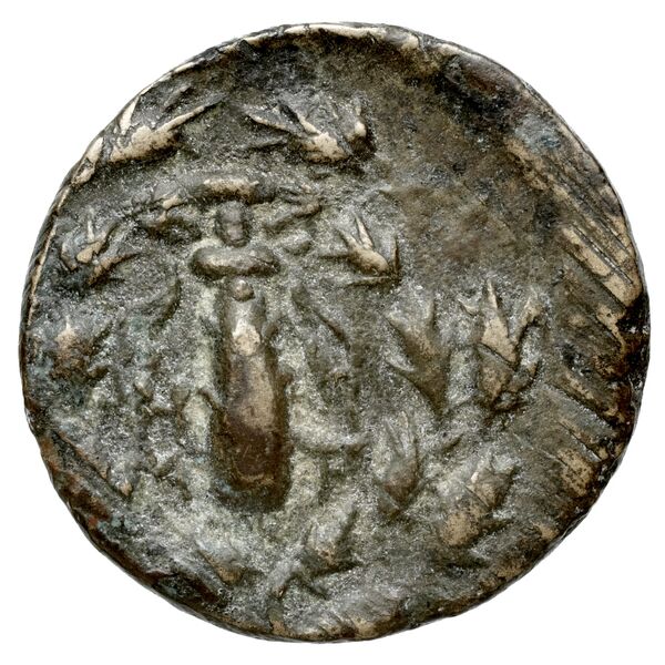 Tarsus SNG Levante 939, 971-7, реверс, bnf-iris