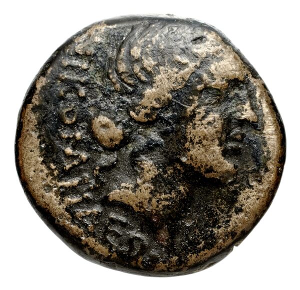 аверс Metapontum Historia Numorum Italy 1709