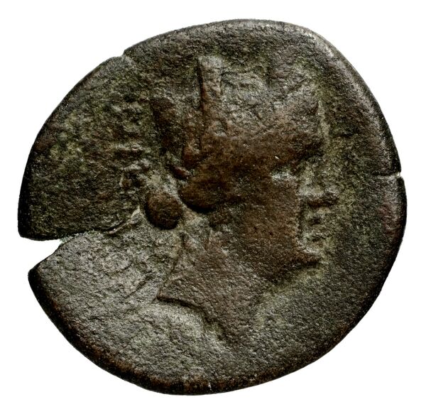 Cassander Macedon AMNG III.2 9, аверс, bnf-iris