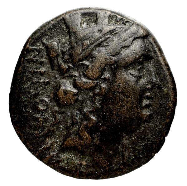 Cassander Macedon AMNG III.2 9, аверс, bnf-iris