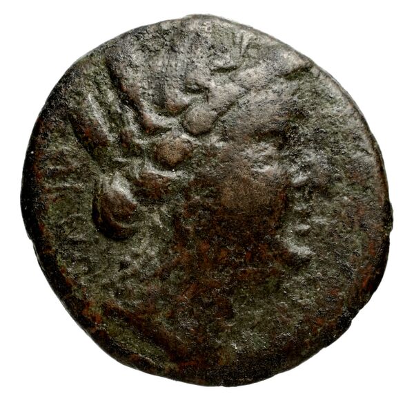 Cassander Macedon AMNG III.2 9, аверс, bnf-iris