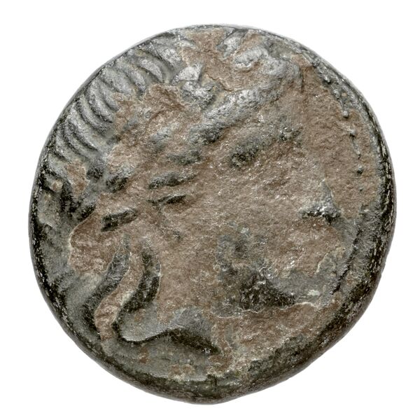 Cassander Macedon AMNG III.2 9, аверс, bnf-iris