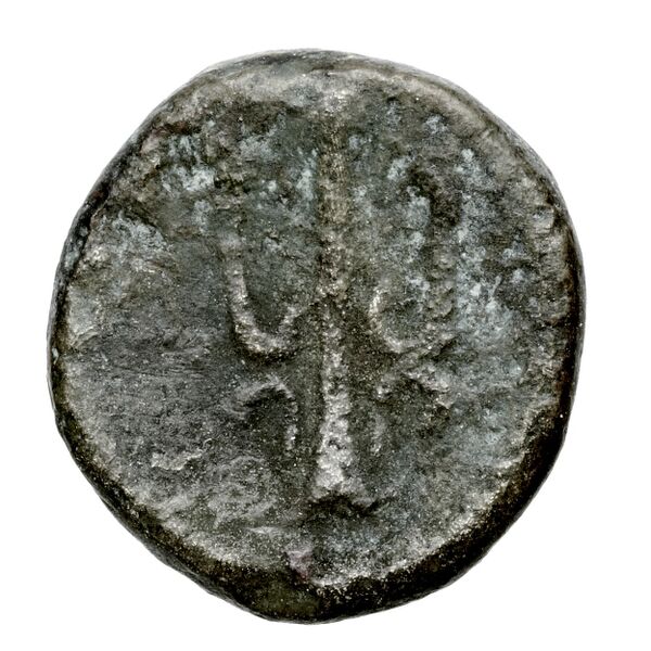 Corcyra BMC Corcyra 229-234, реверс, bnf-iris