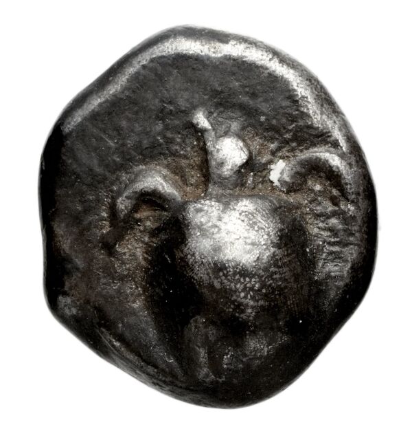 Cassander Macedon AMNG III.2 1-2, аверс, bnf-iris
