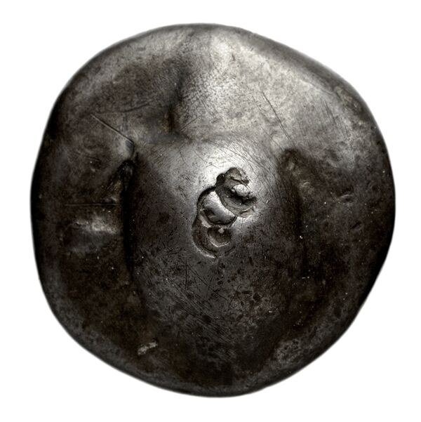 obverse Poseidonia Historia Numorum Italy 1150